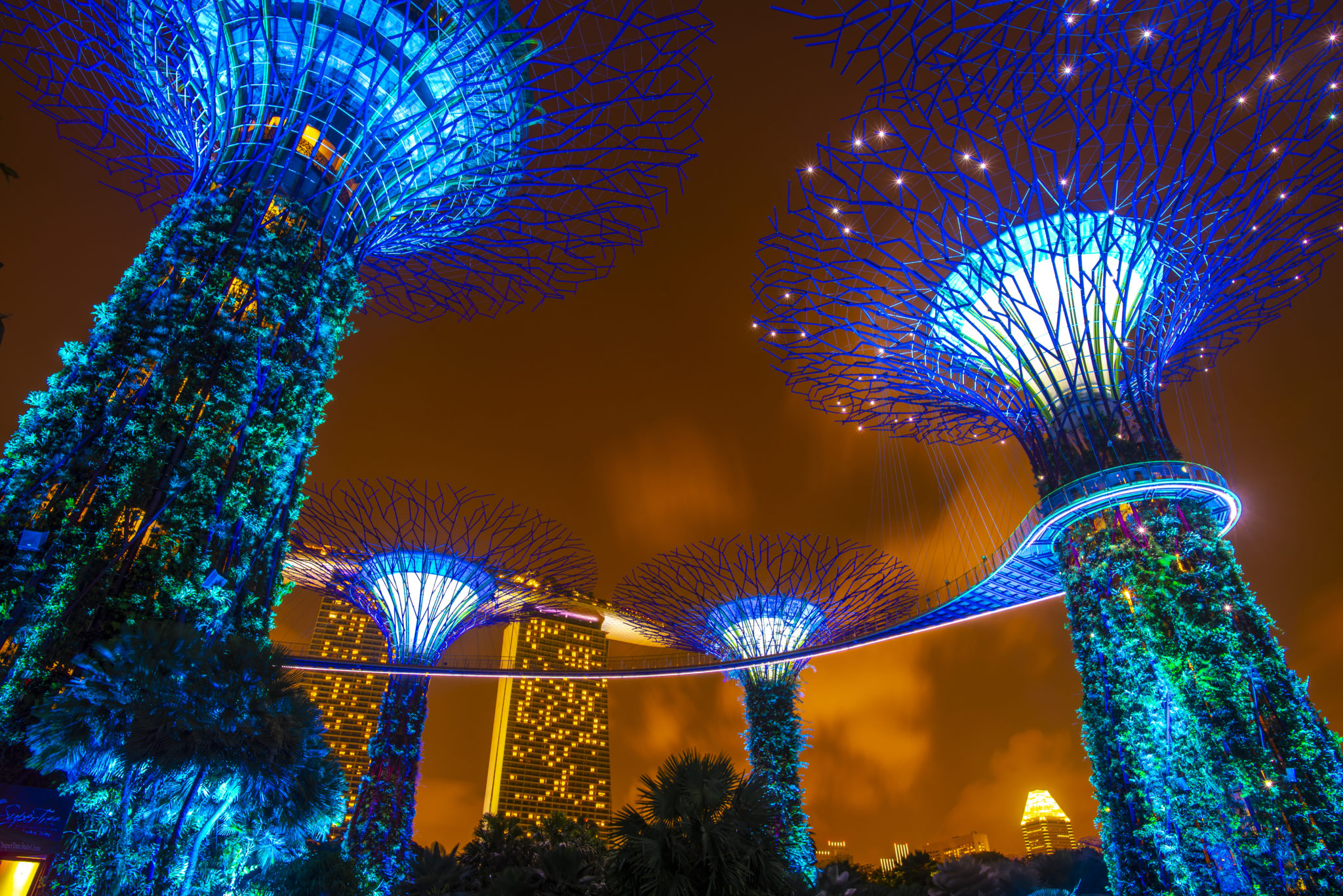 Supertree garden at night in Garden by the bay, Singapore
